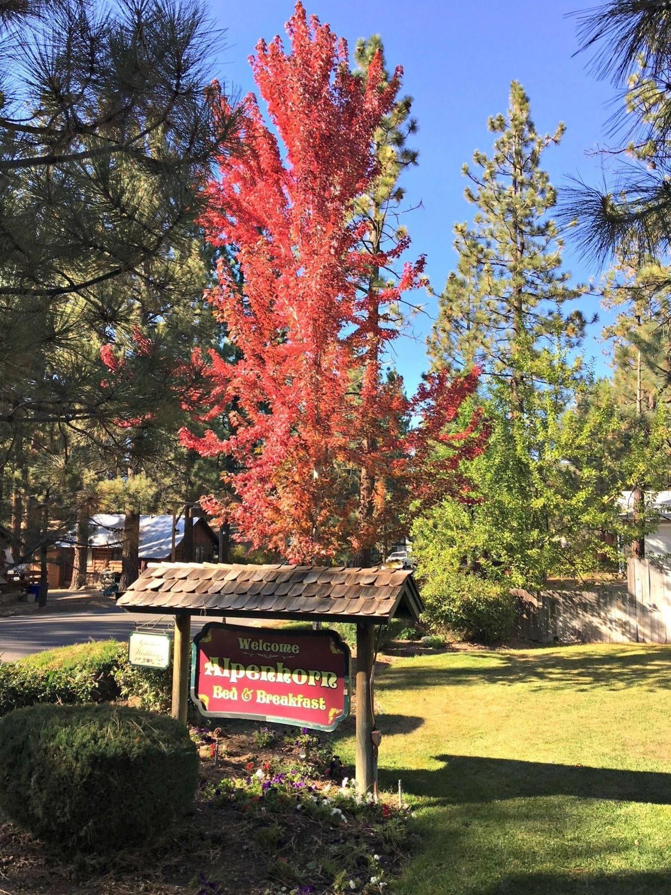 Alpenhorn Bed And Breakfast Big Bear Lake Eksteriør bilde